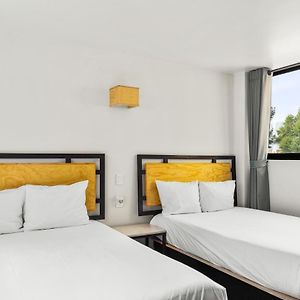 Suite Duplex